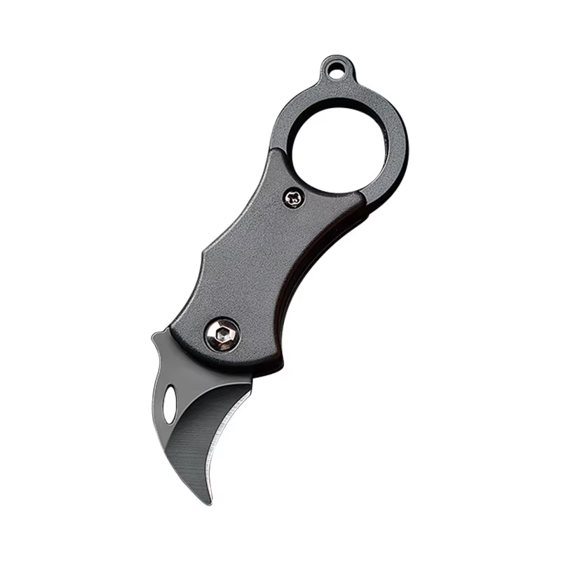 Mini llavero cuchillo de bolsillo de acero inoxidable Camping pequeño Mini cuchillo portátil pelador hoja fija herramienta EDC múltiple con cadena 0,69€4.6426 vendidosAhorra 0,58€T