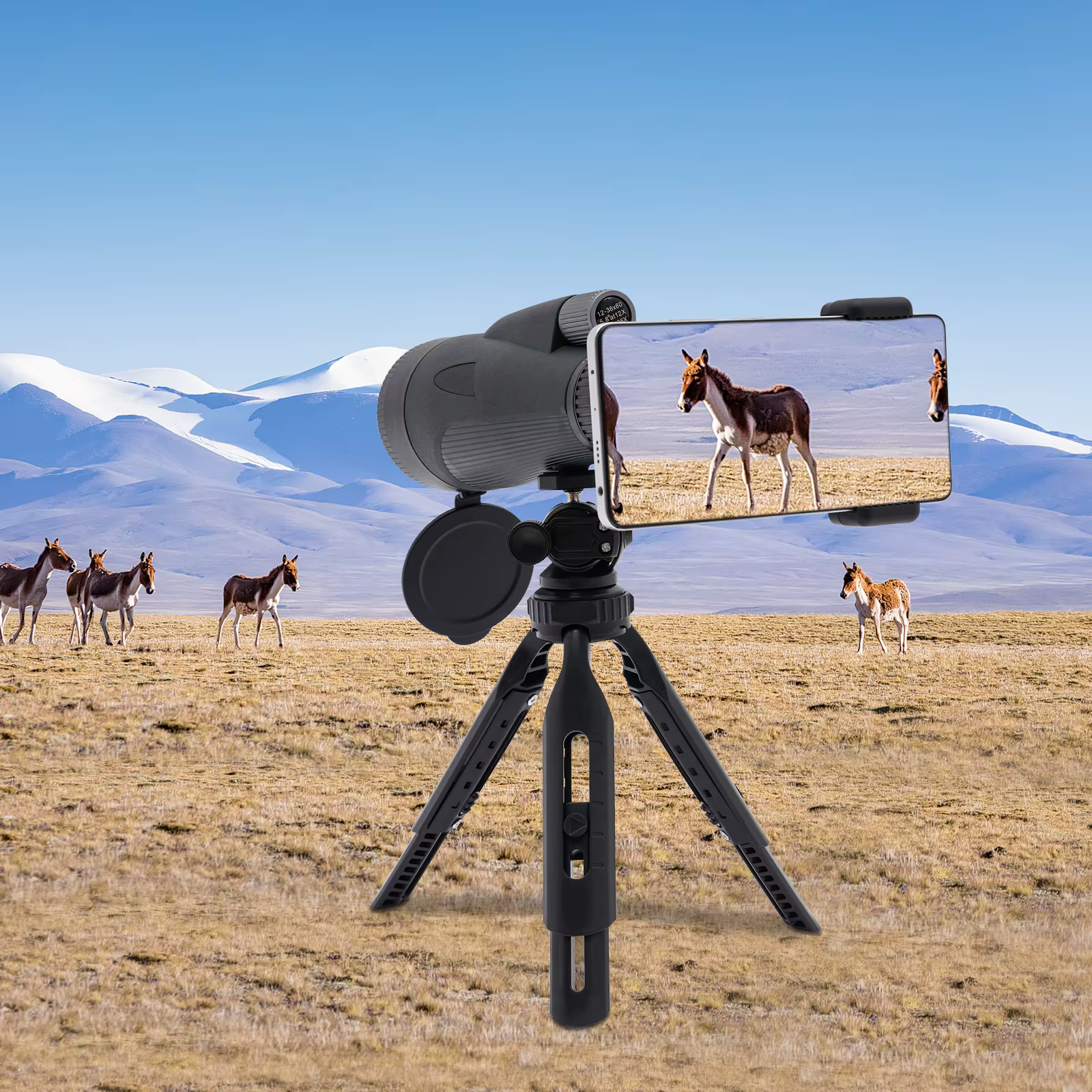 Telescopio monocular, binoculares monoculares para observación de aves con trípode y clip para teléfono, para observación de aves 48,59€4 vendidosAhorra 44,85€Entrega más rápida en